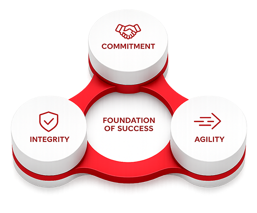 AMS foundation of success values